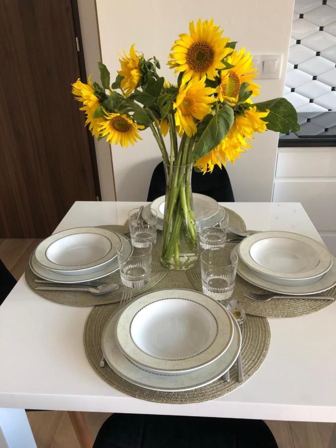Apartament Avanti By Rentoom Apartman Stary Toruń Kültér fotó